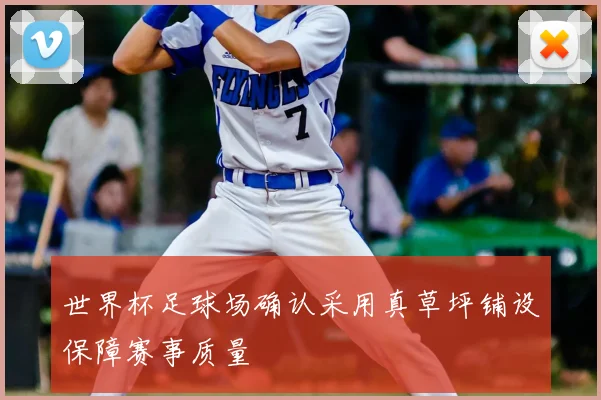世界杯足球场确认采用真草坪铺设保障赛事质量