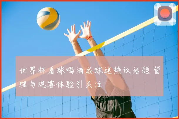 世界杯看球喝酒成球迷热议话题 管理与观赛体验引关注
