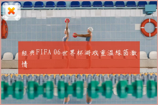 经典FIFA 06世界杯游戏重温绿茵激情