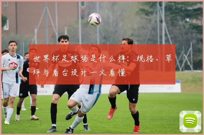 世界杯足球场是什么样:规格、草坪与看台设计一文看懂