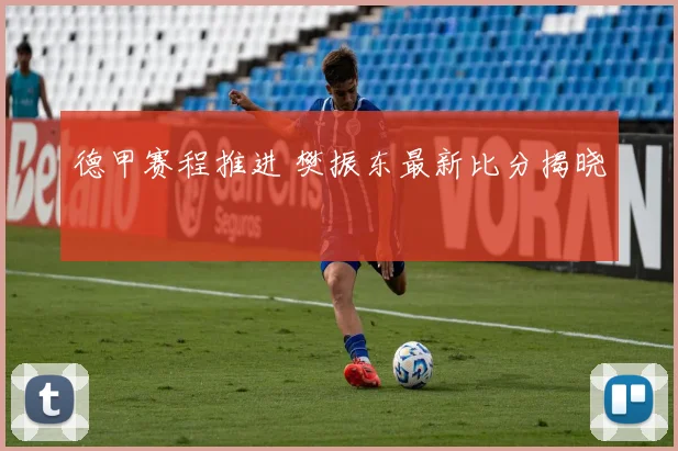 德甲赛程推进 樊振东最新比分揭晓