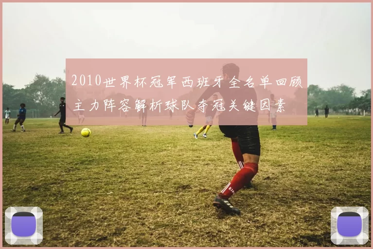 2010世界杯冠军西班牙全名单回顾主力阵容解析球队夺冠关键因素