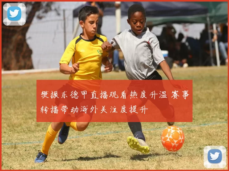 樊振东德甲直播观看热度升温 赛事转播带动海外关注度提升