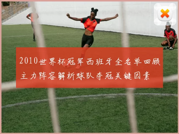 2010世界杯冠军西班牙全名单回顾主力阵容解析球队夺冠关键因素