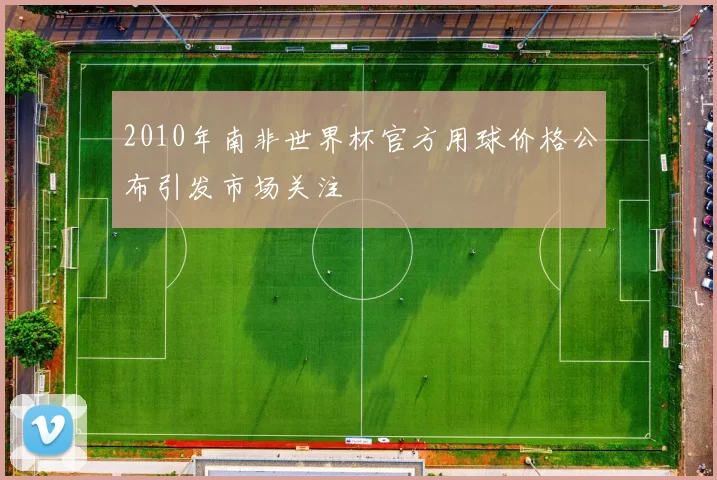 2010年南非世界杯官方用球价格公布引发市场关注