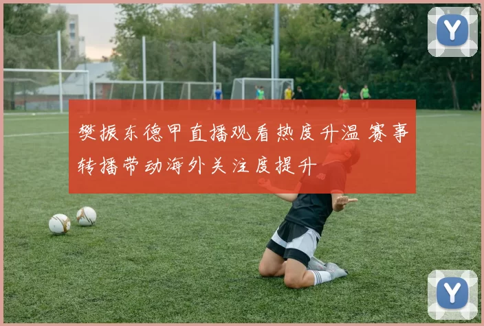 樊振东德甲直播观看热度升温 赛事转播带动海外关注度提升