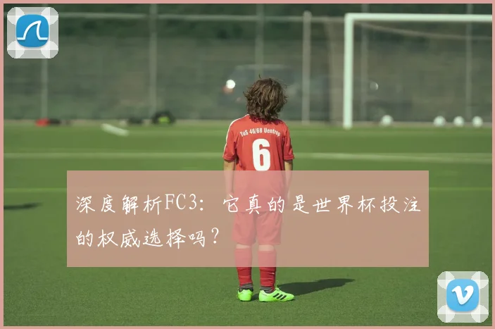 深度解析FC3:它真的是世界杯投注的权威选择吗?