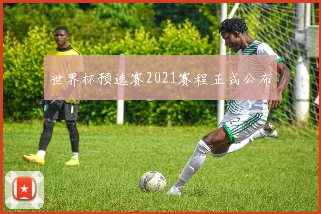 世界杯预选赛2021赛程正式公布